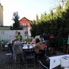 zdjęcie nr 11