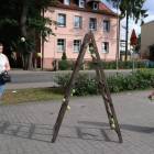 zdjęcie nr 12