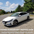 Gepard-Komfortowy Przewóz Osób