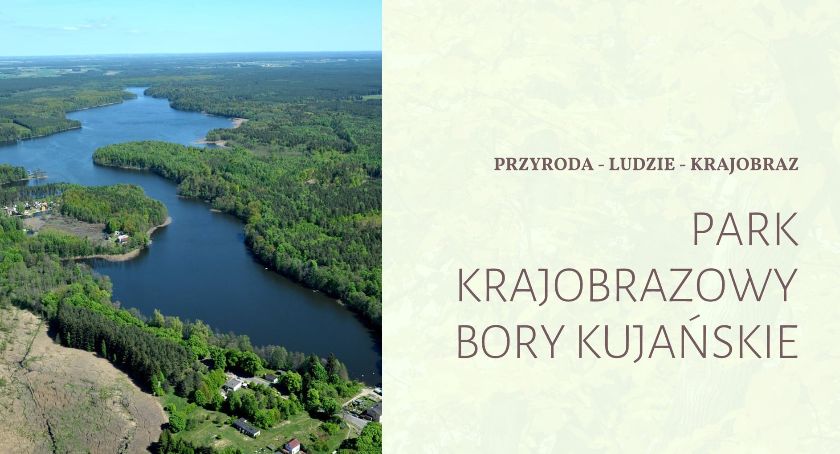 Nowa wersja parku krajobrazowego ma roboczą nazwę „Bory Kujańskie”