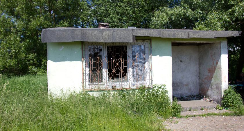 Po dziupli za chwilę pozostanie wspomnienie