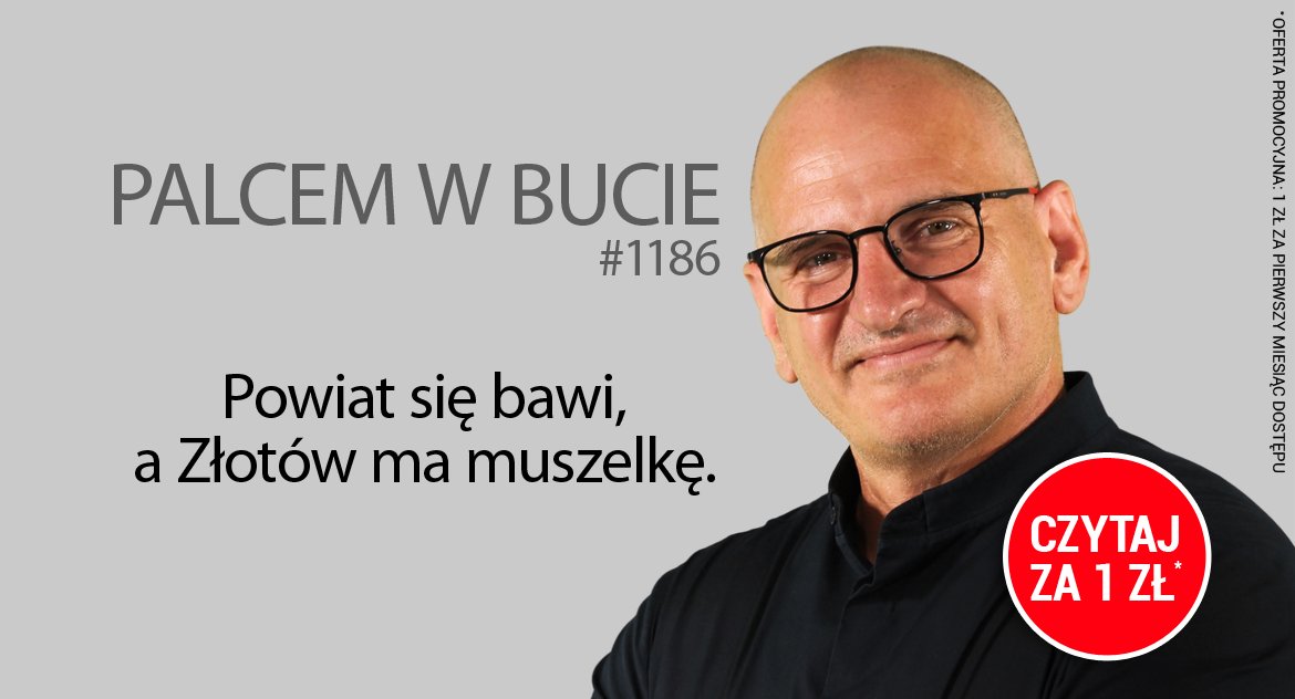 Gazeta Aktualności Lokalne, Powiat Złotów muszelkę - zdjęcie, fotografia