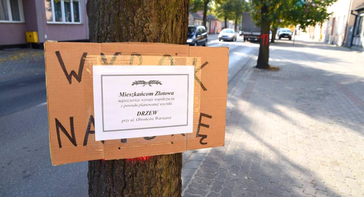 Ekologia Przyroda, Ekolodzy protestują przeciwko wycince drzew - zdjęcie, fotografia