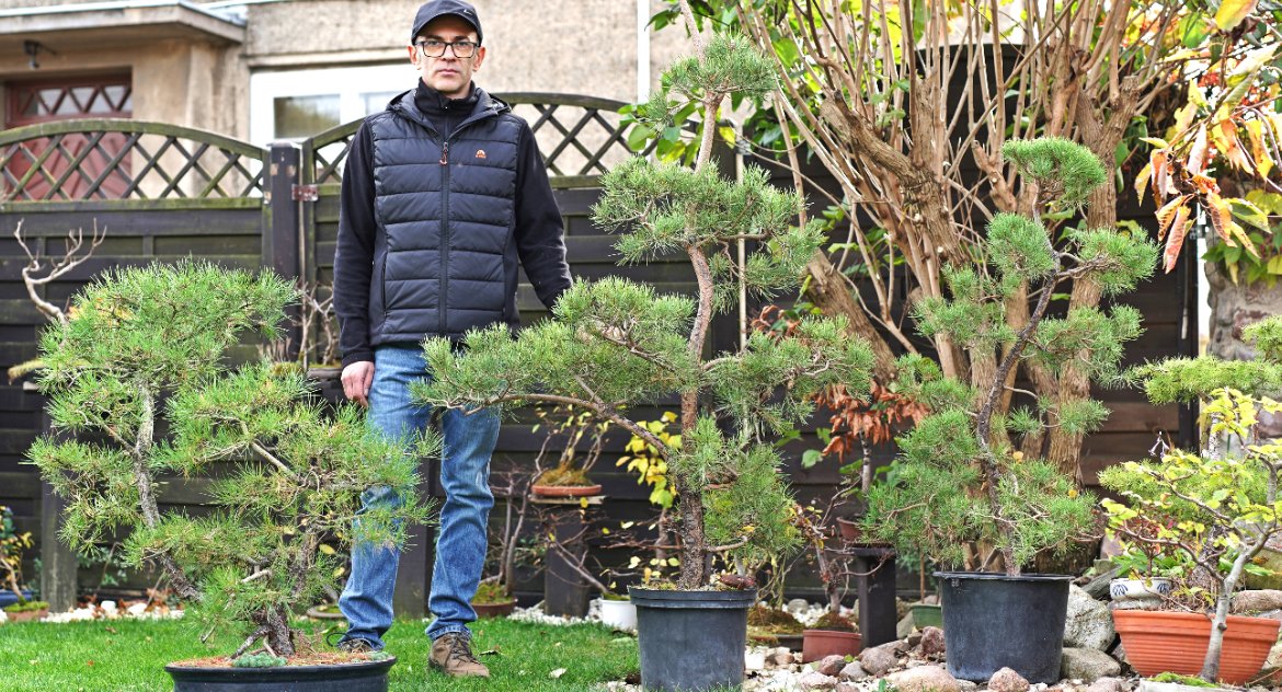 Bonsai - te w ceramicznych donicach i niwaki, czyli drzewka, które mogą rosnąć w większej ilości ziemi są dumą Piotra 