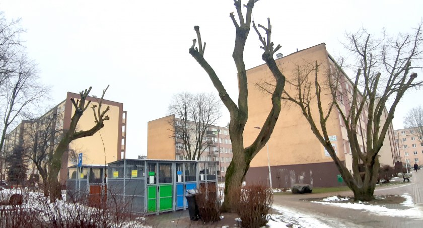 Ekologia Przyroda, Przesadzili przycinką przesadzili karą - zdjęcie, fotografia