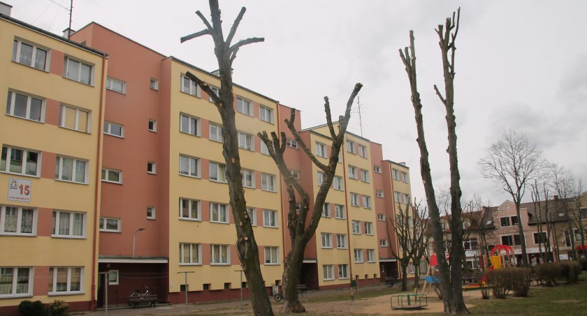 Zdaniem SKO, w następstwie braków w zebranym materiale dowodowym, burmistrz przedwcześnie nałożył karę za przycięcie m.in. tych drzew