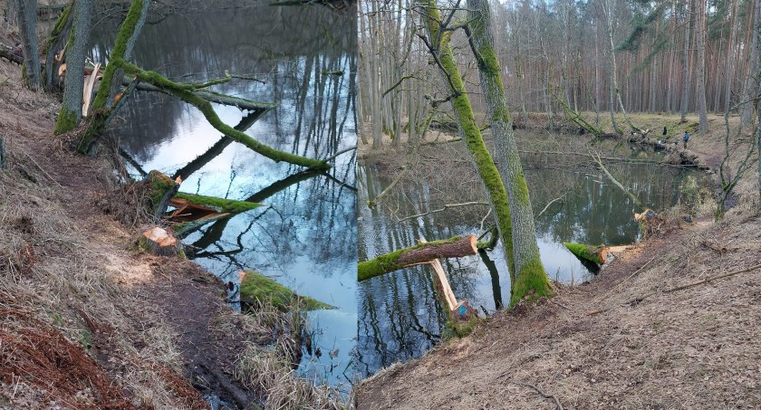 fot. PZW Złotów