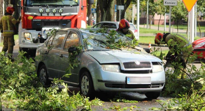 Zdjęcie Redakcja portalu zlotowskie.pl - fotografia