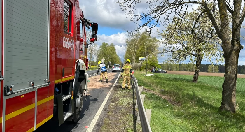 W wyniku zdarzenia uszkodzona została infrastruktura drogowa i pojazd