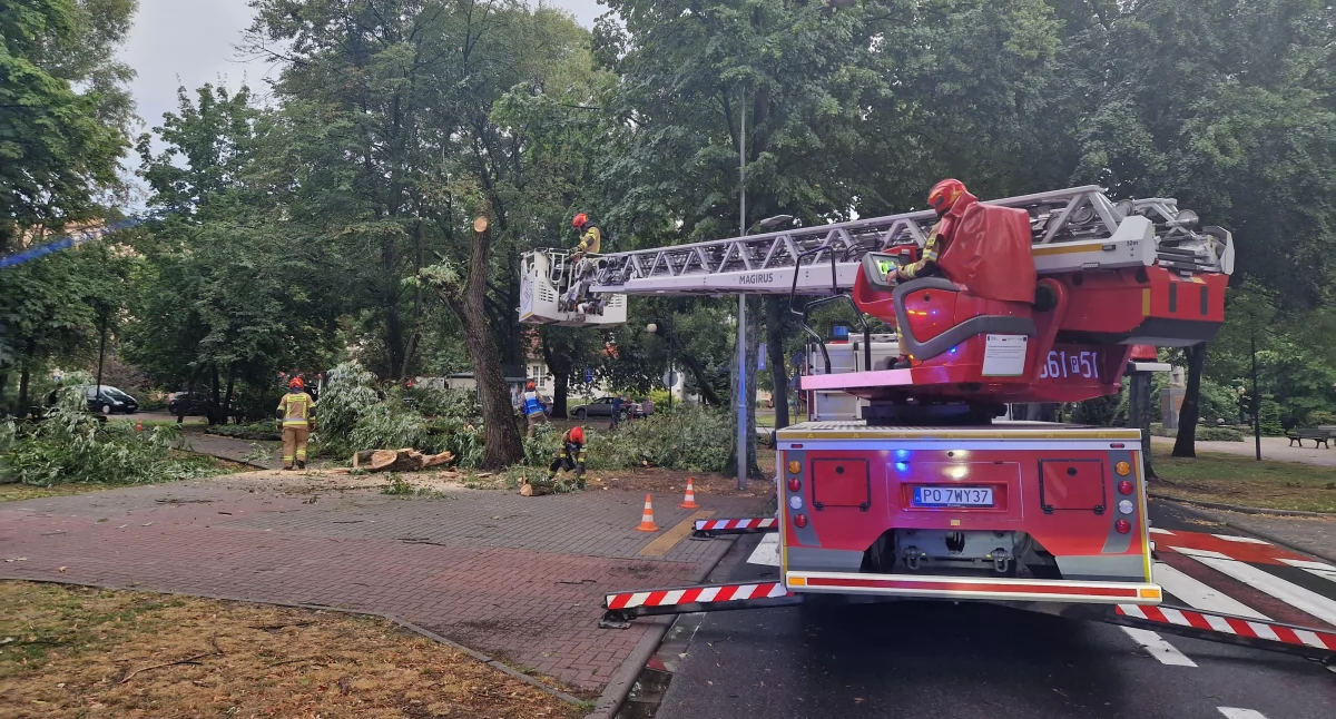 Straż pożarna, interwencji strażaków powiatu złotowskiego - zdjęcie, fotografia