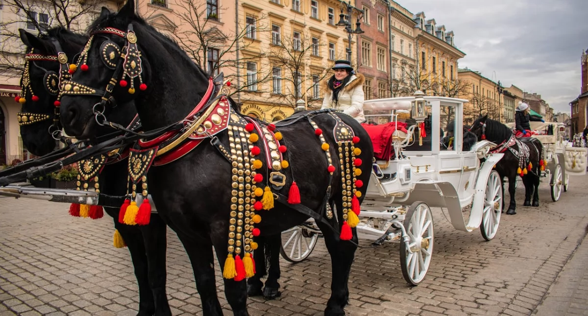 Nasze wyprawy, Kraków tylko oczywiste miejsca wydarzenia - zdjęcie, fotografia
