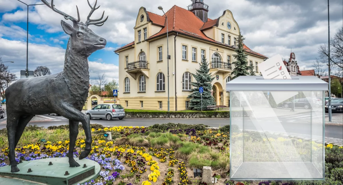 Budżet obywatelski, Kolejnego filmu Budżetu Obywatelskiego będzie - zdjęcie, fotografia