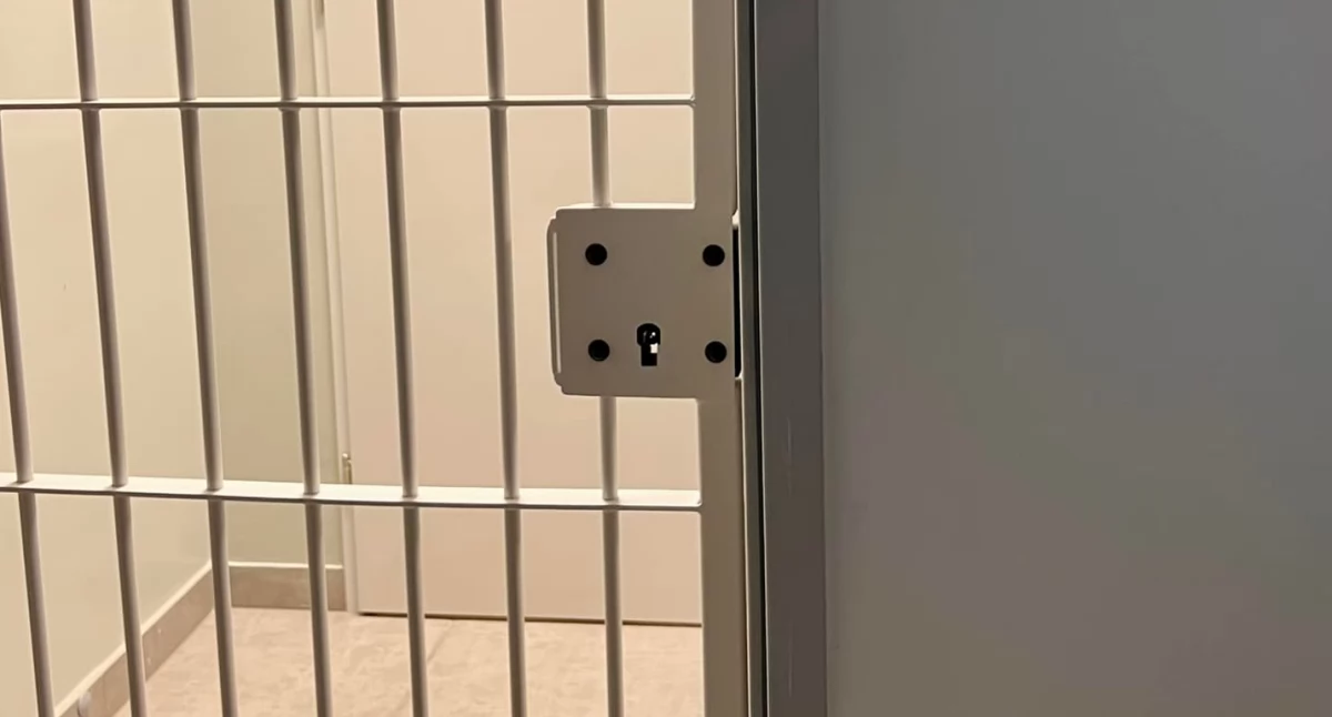 Policja - komunikaty i akcje, Policyjne zatrzymanie dwóch poszukiwanych listami gończymi - zdjęcie, fotografia