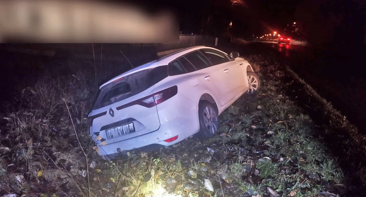 Kronika kryminalna, Kierowca wypadł drogi uciekł wpływem alkoholu - zdjęcie, fotografia