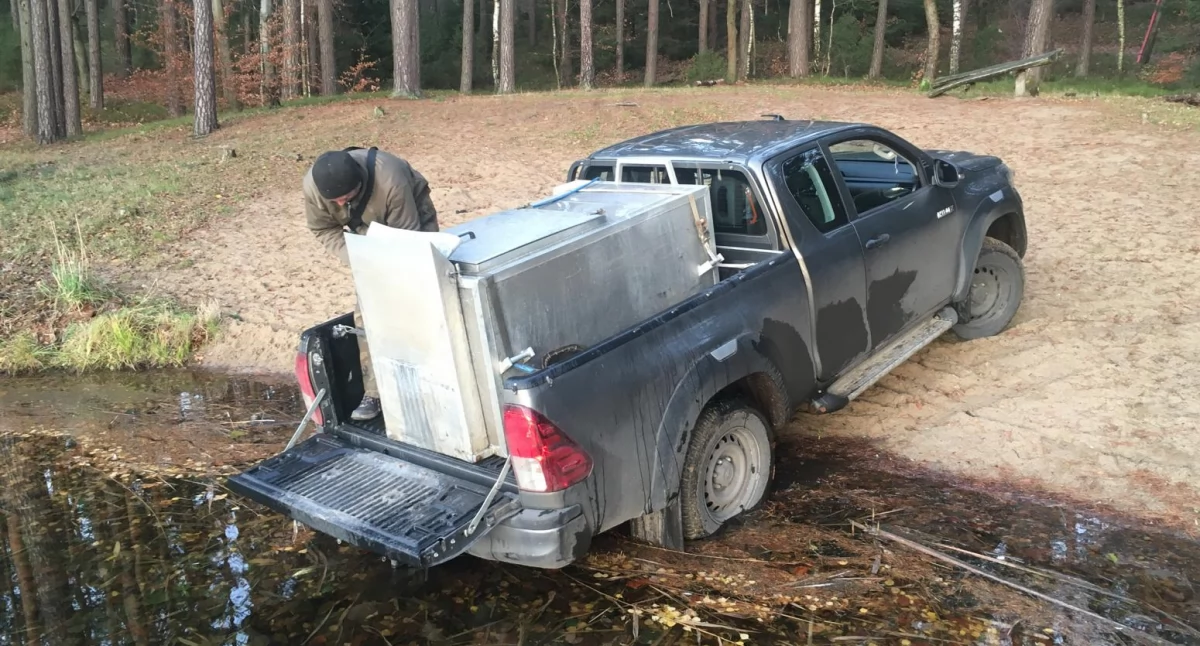 Wędkarstwo Ryby, Gmina Okonek zarybia jeziora ponad pół narybku trafiło - zdjęcie, fotografia