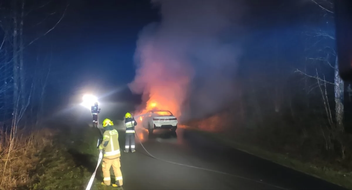 Straż pożarna, Samochód doszczętnie spłonął - zdjęcie, fotografia