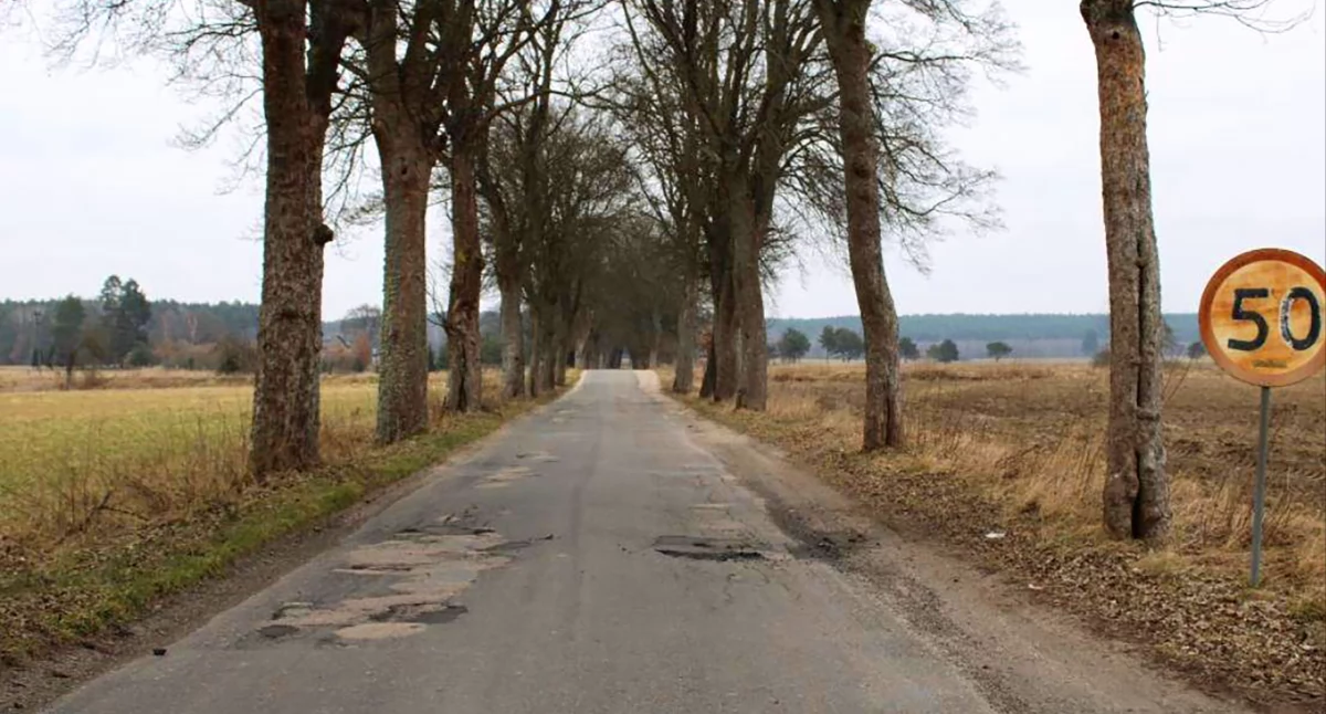 Drogi i komunikacja, Przejmiemy drogę będzie zrobiona - zdjęcie, fotografia