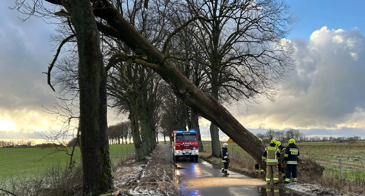 Straż pożarna, widać gdzieniegdzie naprawdę mocno powiało - zdjęcie, fotografia