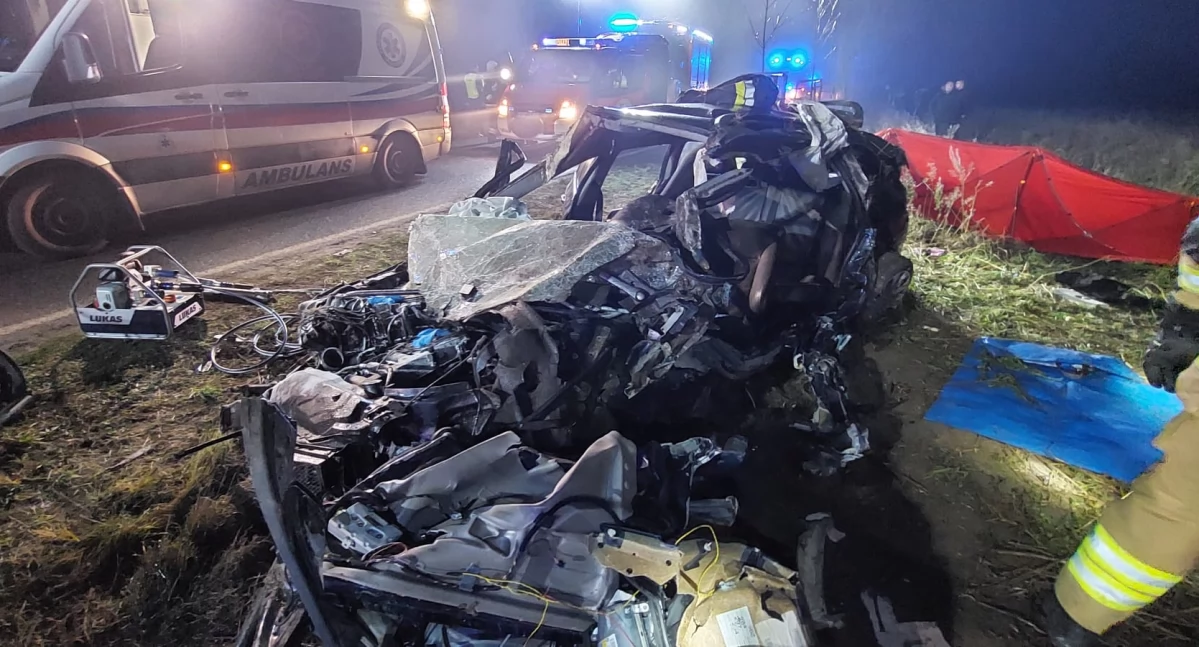 Zdjęcia: st. ogn. Marcel Szwec, KP PSP w Pile