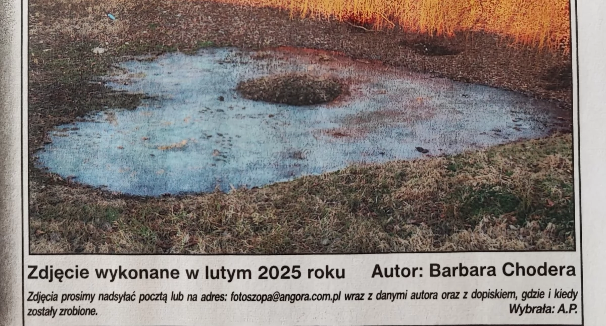 Ludzie losy pasje, Zdjęcie Chodery ponownie Angorze - zdjęcie, fotografia