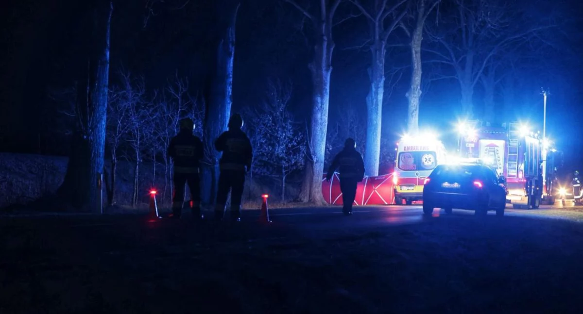 Wypadki drogowe, musiało skończyć Śmierć rowerzysty - zdjęcie, fotografia