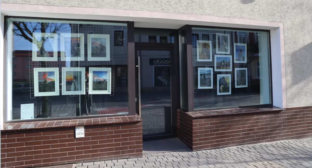 Wernisaże wystawy warsztaty, Miejska Galeria Okienku prezentuje fotografie Nicoli Adler - zdjęcie, fotografia