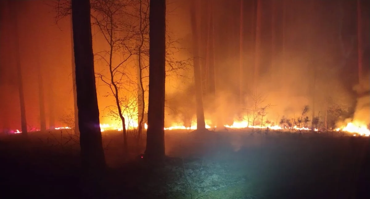 Straż pożarna, Pożar Skórce - zdjęcie, fotografia