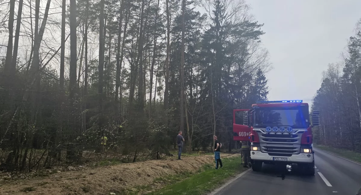Straż pożarna, Pożar Uroczysku Jastrowiem! Jastrowie akcji! - zdjęcie, fotografia
