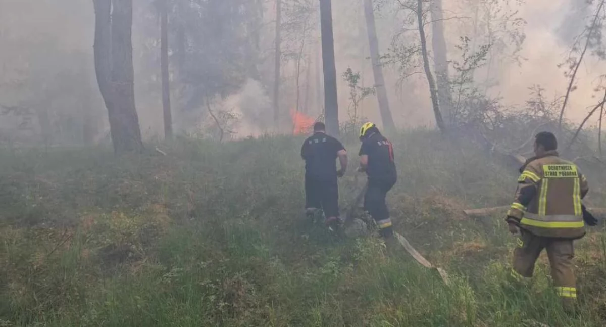 Straż pożarna, Samoloty gaśnicze ruszyły akcji Nadleśnictwie Jastrowie - zdjęcie, fotografia
