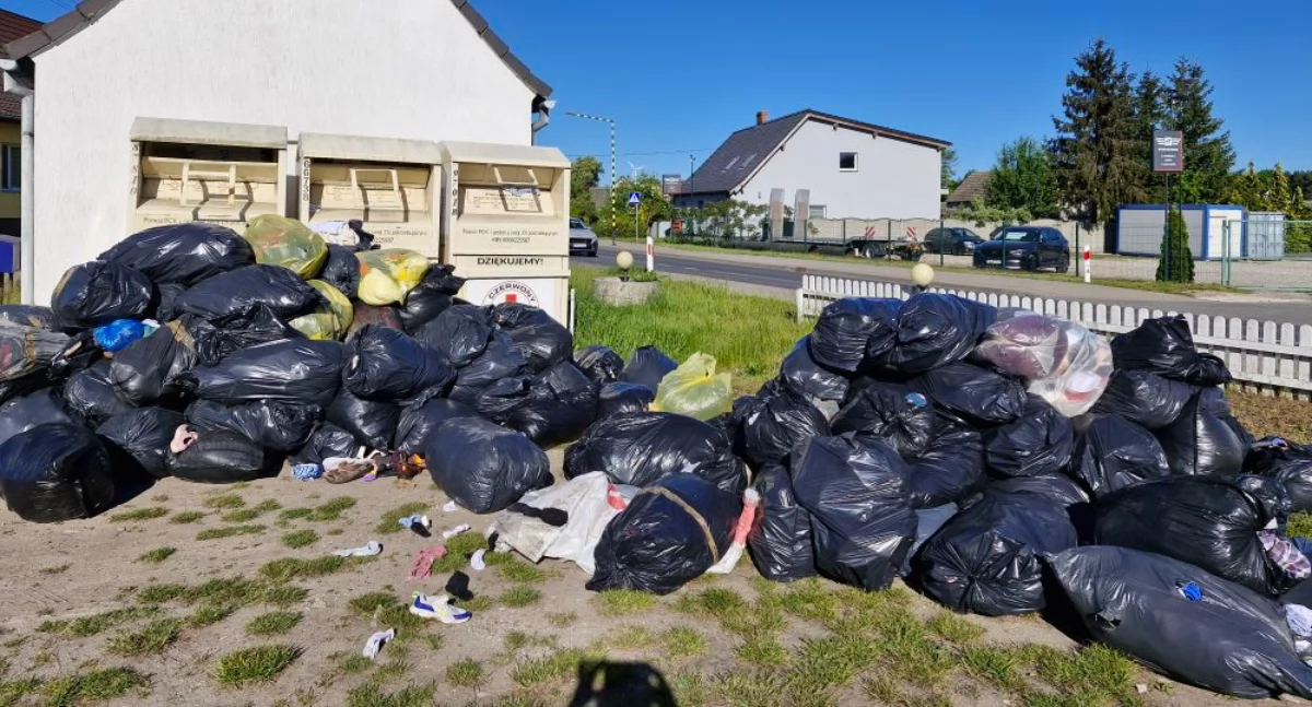 Ekologia Przyroda, Nietypowe znalezisko poranku Interweniowała gmina policja - zdjęcie, fotografia