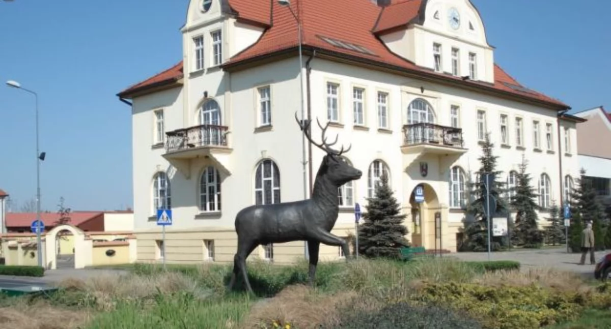 Wybory, Łukasz Łazarski nowym radnym Złotowie - zdjęcie, fotografia