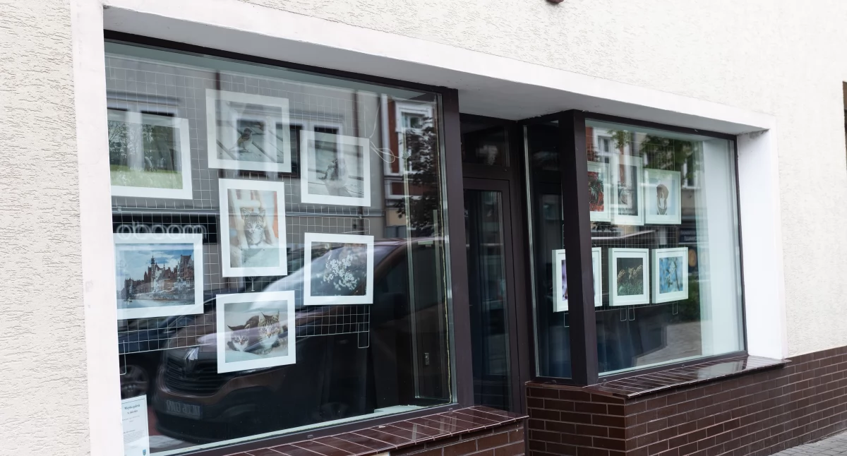 Wernisaże wystawy warsztaty, Miejska galeria okienku” fotografie Agaty Bartenowskiej - zdjęcie, fotografia