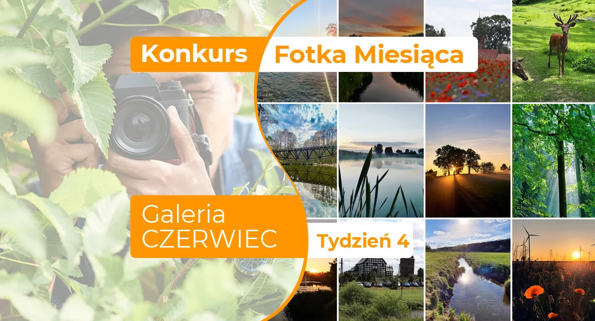 Gazeta Aktualności Lokalne, Fotka miesiąca czerwiec tydzień czwarty - zdjęcie, fotografia