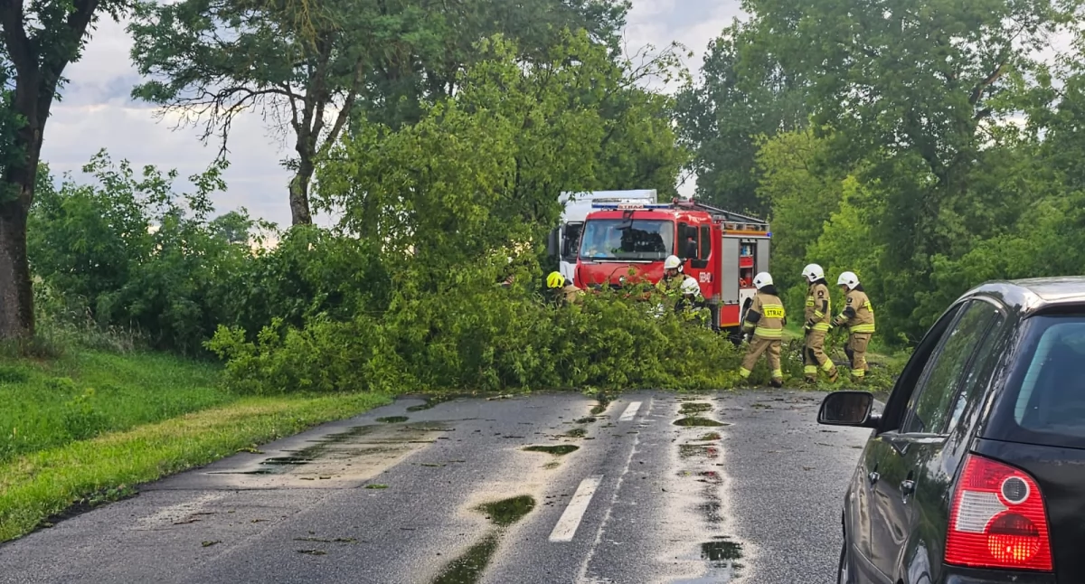 Straż pożarna, Strażacy walczą skutkami wichury kolejne alerty pogodowe - zdjęcie, fotografia