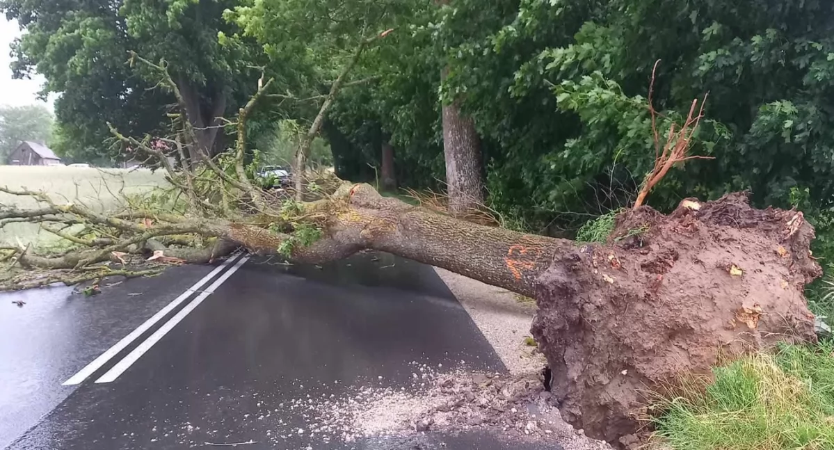 Straż pożarna, Ponad zgłoszeń powiecie złotowskim Wichura oszczędziła regionu - zdjęcie, fotografia