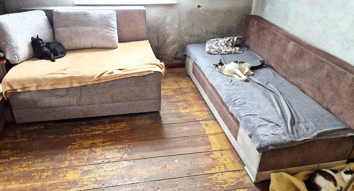 Ludzie losy pasje, Odebrali dzieci matka szuka zrozumienia mówi zaniedbaniach - zdjęcie, fotografia