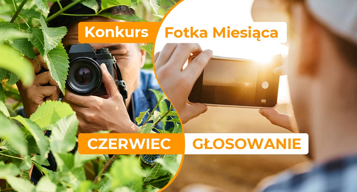 Gazeta Aktualności Lokalne, Zagłosuj konkursie pomóż wyłonić Fotkę Miesiąca czerwca - zdjęcie, fotografia