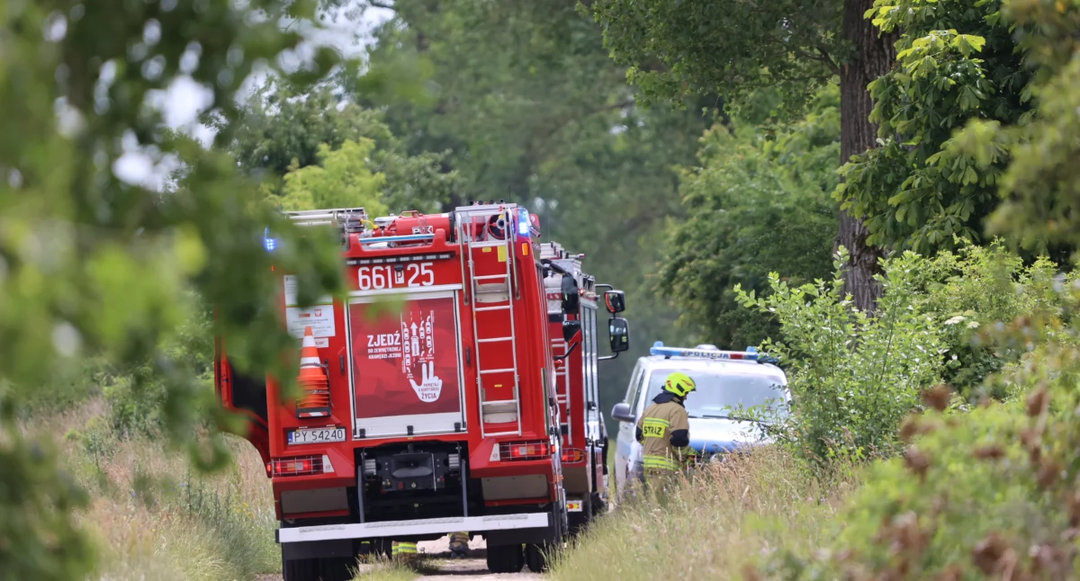 Straż pożarna, Pożar drzewa otaczajacych zarośli Górzną Strażacy szybko opanowali sytuację - zdjęcie, fotografia
