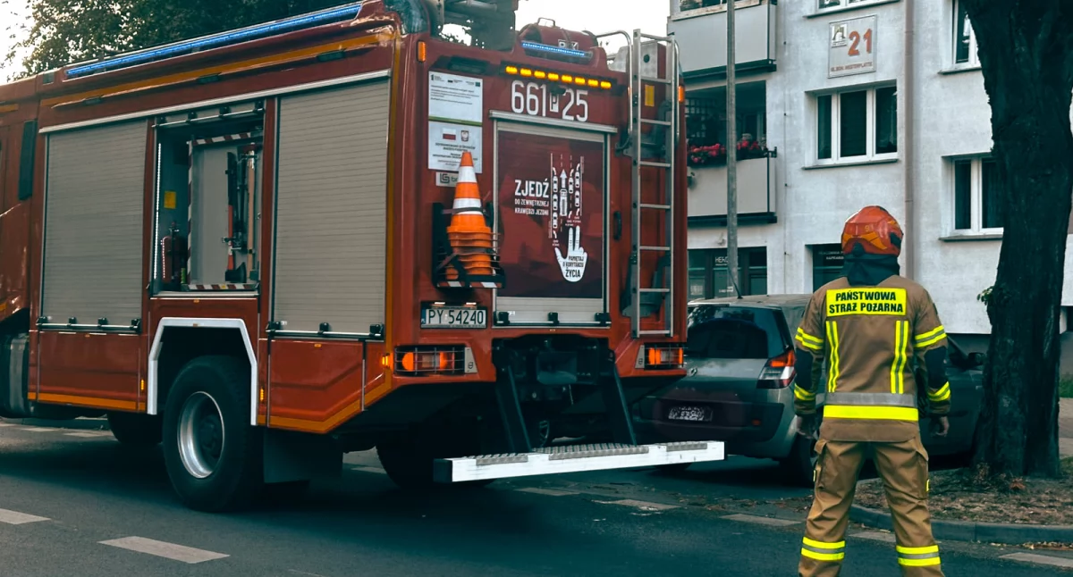 Straż pożarna, Złamana gałąź zagrażała przechodniom interweniowali strażacy - zdjęcie, fotografia