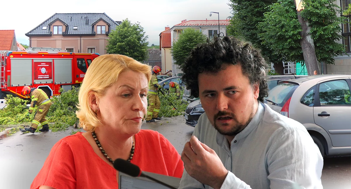 Administracja, Złotów przegrywa z wichurami niebezpieczne drzewa lecą radni debatują - zdjęcie, fotografia