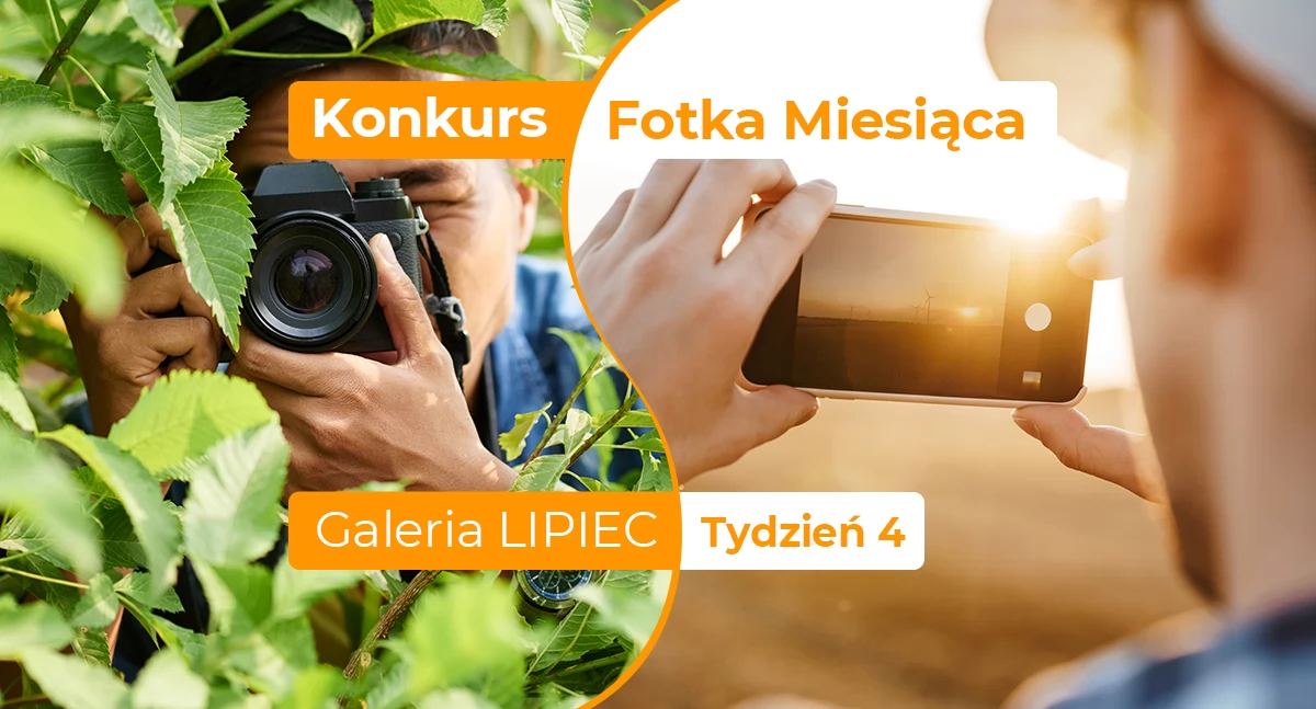 Gazeta Aktualności Lokalne, Fotka miesiąca lipca tydzień czwarty - zdjęcie, fotografia