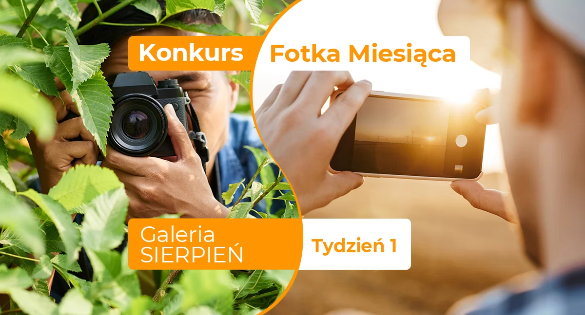 Gazeta Aktualności Lokalne, Fotka miesiąca sierpnia tydzień pierwszy - zdjęcie, fotografia