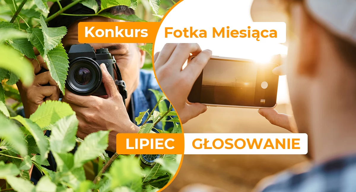 Gazeta Aktualności Lokalne, Zagłosuj konkursie pomóż wyłonić Fotkę Miesiąca lipca - zdjęcie, fotografia