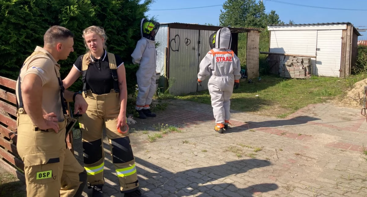 Straż pożarna, Strażacy znaleźli ciało mężczyzny - zdjęcie, fotografia