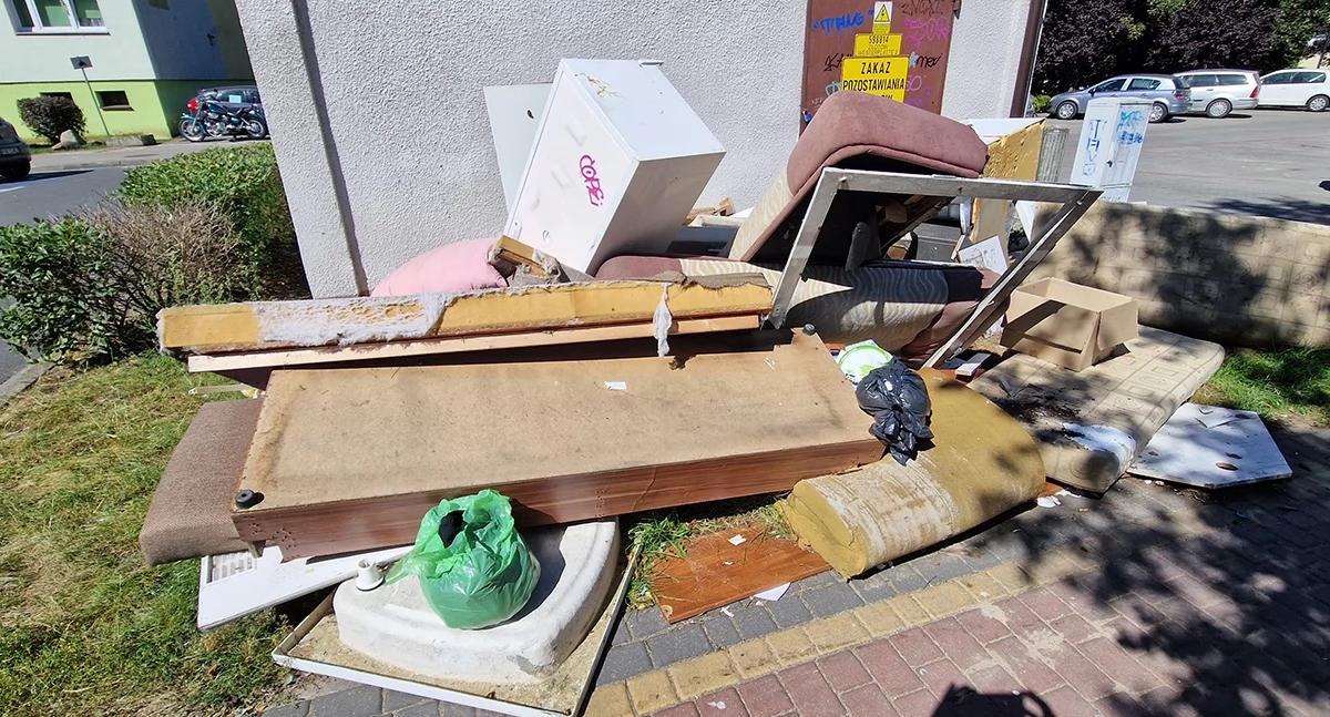 Ludzie losy pasje, Centrum Złotowa centrum wstydu śmietnisko urosło najlepsze - zdjęcie, fotografia