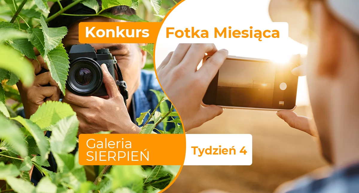 Gazeta Aktualności Lokalne, Fotka miesiąca sierpnia tydzień czwarty - zdjęcie, fotografia