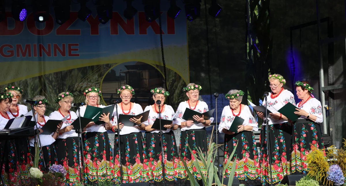 Spotkania Festyny, Dożynki Gminne Lipce - zdjęcie, fotografia