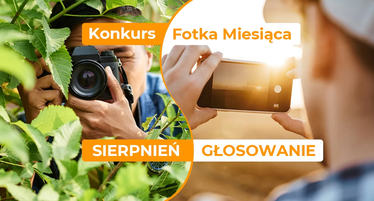 Gazeta Aktualności Lokalne, Zagłosuj konkursie pomóż wyłonić Fotkę Miesiąca Sierpnia - zdjęcie, fotografia