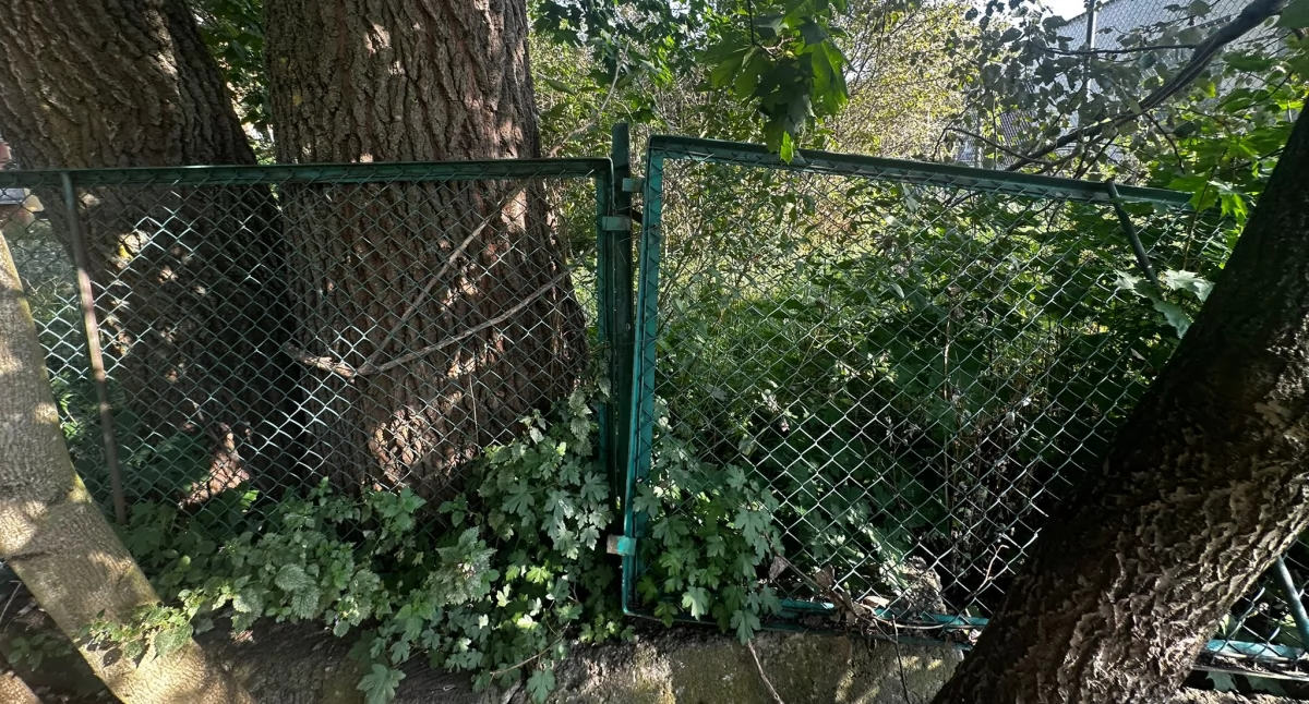 Interwencje czytelników, Stary płot ciemności dziury wygląda miejski wybieg psów - zdjęcie, fotografia