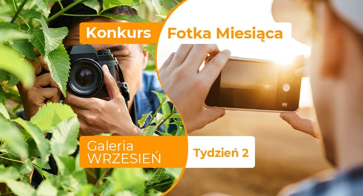 Gazeta Aktualności Lokalne, Fotka miesiąca września tydzień drugi - zdjęcie, fotografia